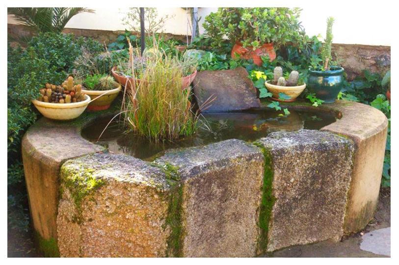 Casa Rural Valdevilano La Roca de la Sierra Екстериор снимка